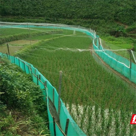 记者在扶贫一线丨桐山乡：这里有一张乡村发展全地图