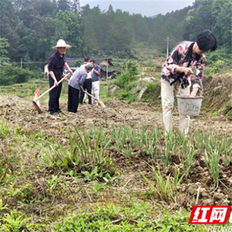 记者在扶贫一线③丨“户帮户亲帮亲，勤劳人不会受穷”